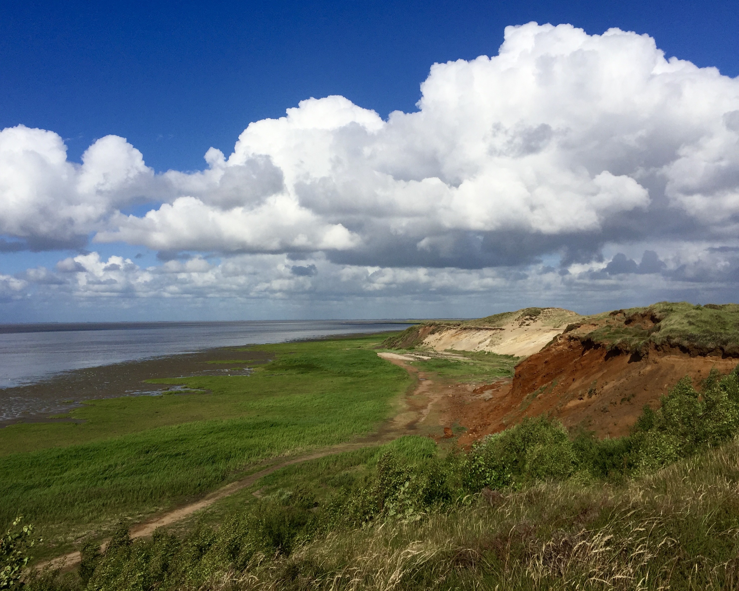 Vorschaubild zur Sehenswürdigkeit Morsum Kliff